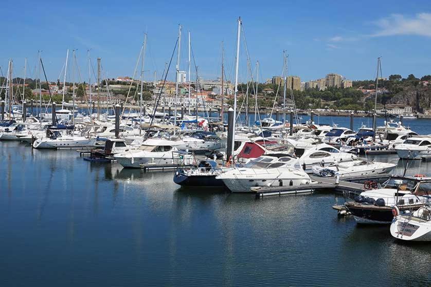 Porto Arrabida Gaia, Big Comfortable, 4Or6 Pax, Ground Floor Vila Nova de Gaia Exteriör bild